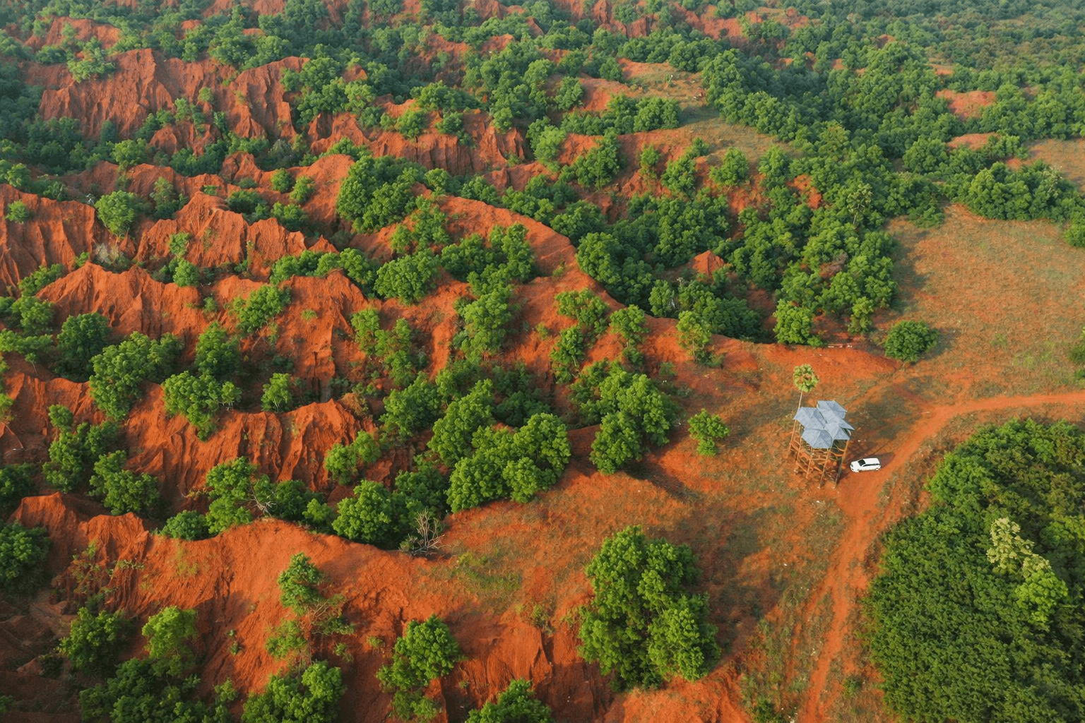 red sand hills with trees