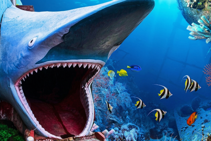 Matsyadarshini Aquarium Vizag