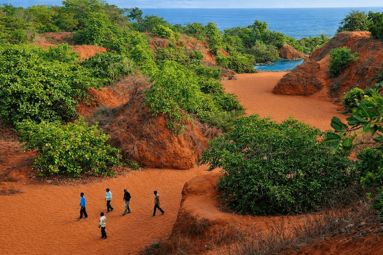 erra matti dibbalu with trees visited people